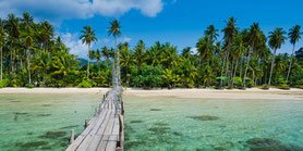 Krabi-Thailand-Andaman-Clear-Water-Palmtree-Boat-Tour-Popular
