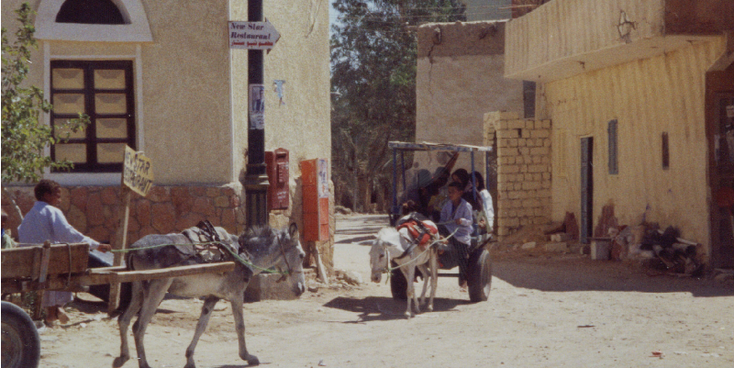 Siwa-Berber-Oasis-Egypt-Donkey-Wagon