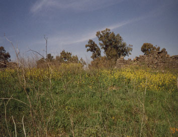 Golan-Heights-Israël-National-Park