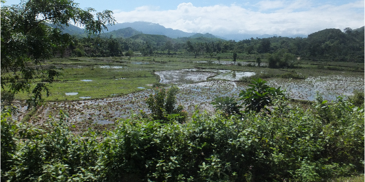 Dak-To-Surroundings-Mountains-Ricefield-Vietnam