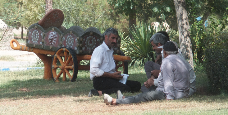 Iran-picknick-Tree