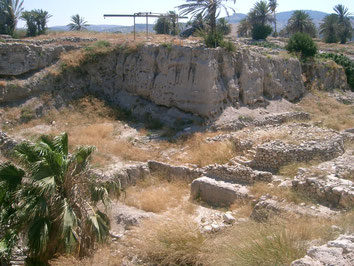 Megiddo-Battle-Archeology-Ruins-Israël
