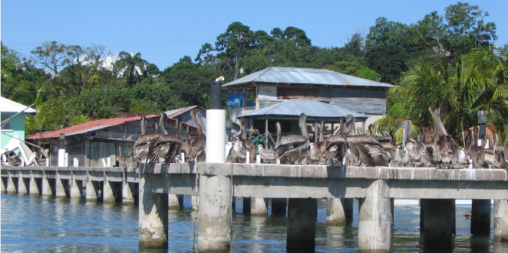 Rio-Dulce-Guatemala-Boat-Livingstone-Riverlife