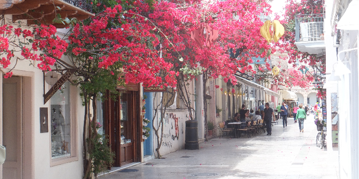 Nafplio-Greece-Citywalls-Flowers-Street-Shopping
