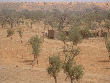 Bandiagara-Dogon-Country-Mali
