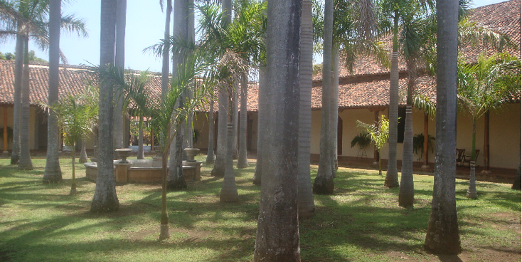 Convento-y-Museo-San-Fransisco-Granada-Inner-Court-Palmtree-Nicaragua
