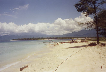 Gili-Trawangan-Beach-Palmtree-Sun-Sea-Lombok-Indonesia