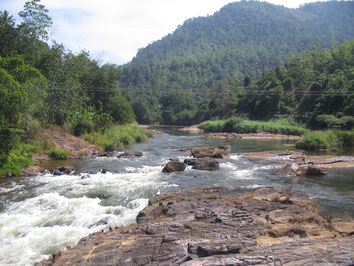 Kitulgala-Bridge-On-The-River-Kwai-Sri-Lanka-Film-Movie