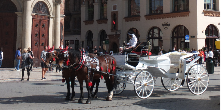 Krakow-Rynek-Glowny-Square-Church-Statue-Poland-Horse-and-Wagen