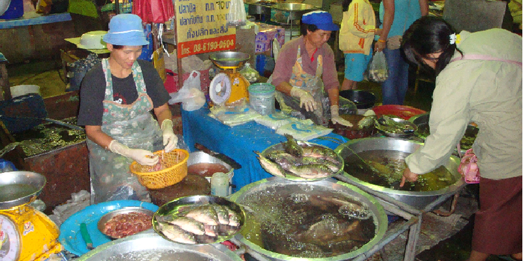 Chang-Rai-Market-Sales-Thailand