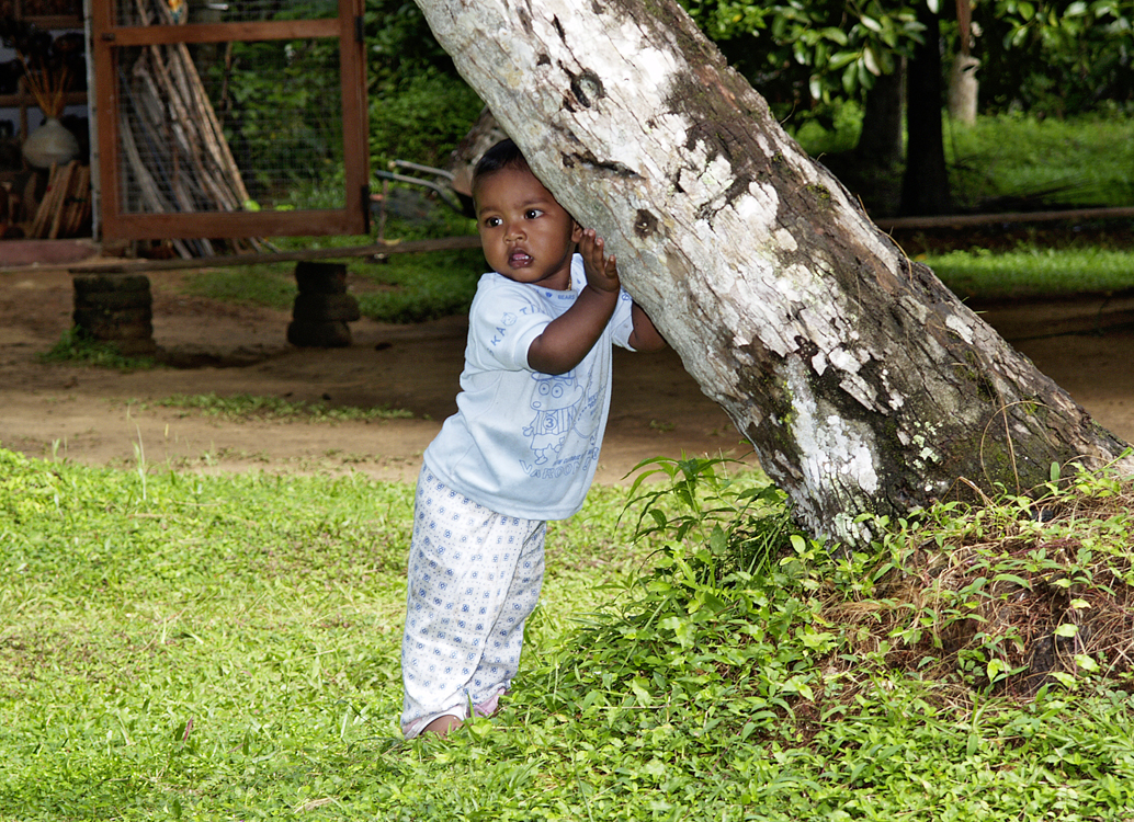 "Stammhalter", Sri Lanka