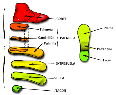 Partes del Calzado - Podoortosis - Fabricantes Calzado Ortopédico