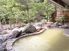渓流がそばを流れる露天風呂(宿のHPより)