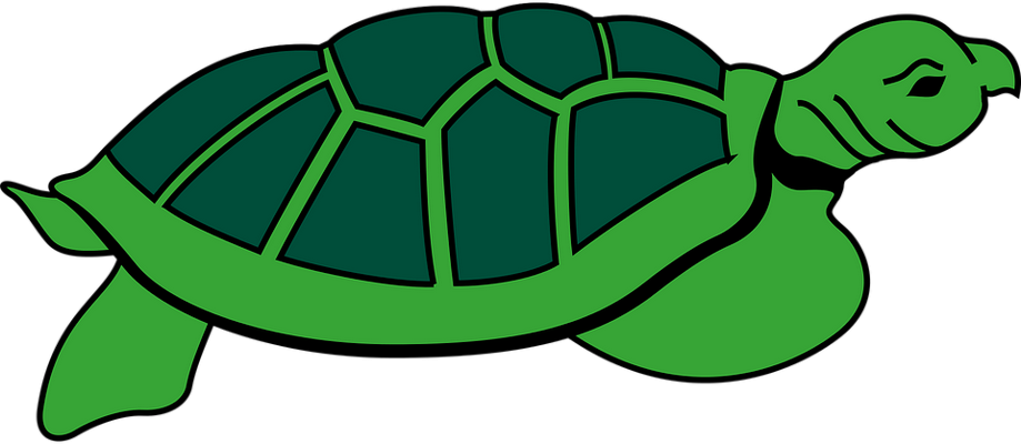 tortue marine - faune aquatique - animaux - smiley émoticône émoji cartoon clipart illustration - artémotic