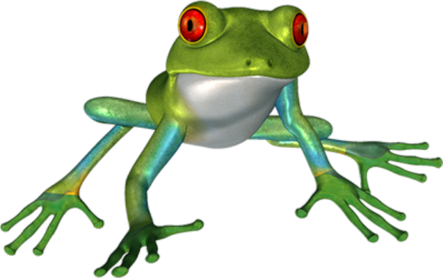 grenouille - faune aquatique - animaux - smiley émoticône émoji cartoon clipart illustration - artémotic