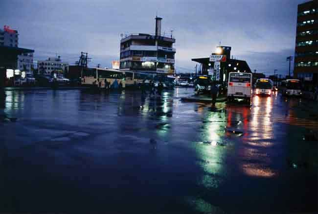 Grasshopper and Dragonfly - 尾仲浩二 公式ホームページ