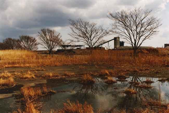 Grasshopper and Dragonfly - 尾仲浩二 公式ホームページ