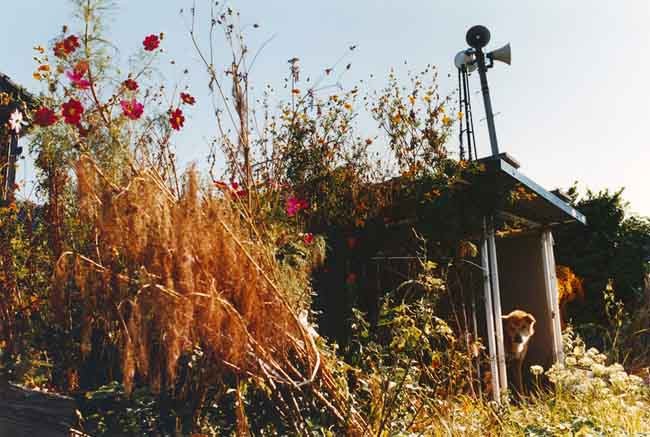 Grasshopper 尾仲浩二作品集　サイン入り　ポストカード付き グラスホッパー 尾仲浩二 写真集 GRASSHOPPER Koji Onaka 2001