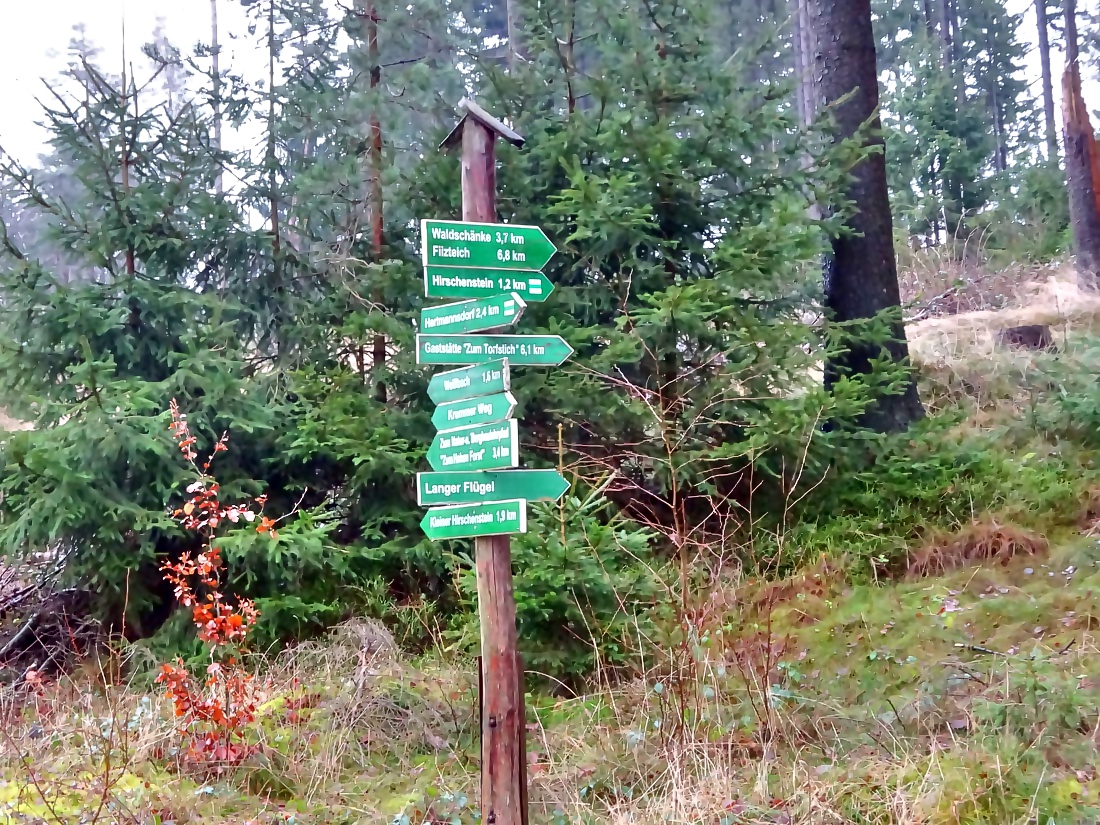 Ausgesetzt am Hartmannsdorfer Forst