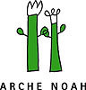 Arche Noah 