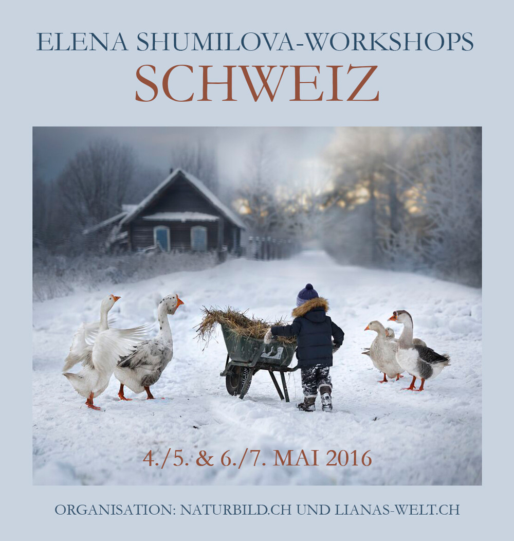 Elena Shumilova Workshop Schweiz