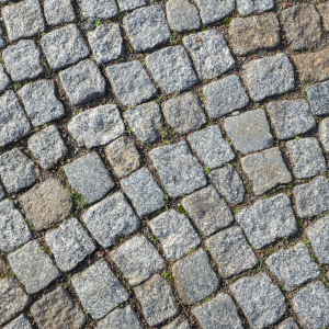 Foto: ©Bernward – stock.adobe.com