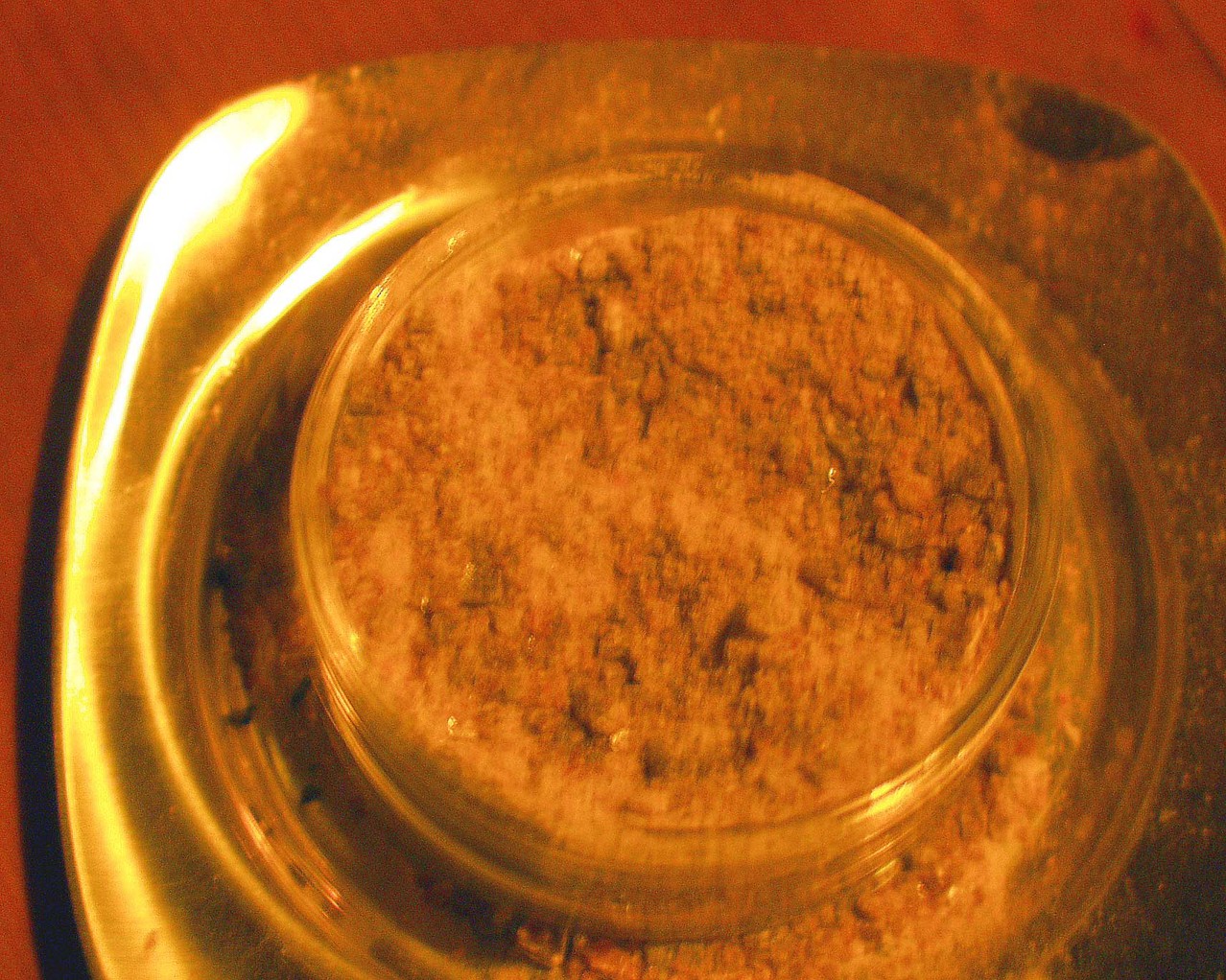 Das Salz der Erde herbamill Das Salz der Erde herbamill