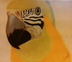 DIBUJO AL PASTEL