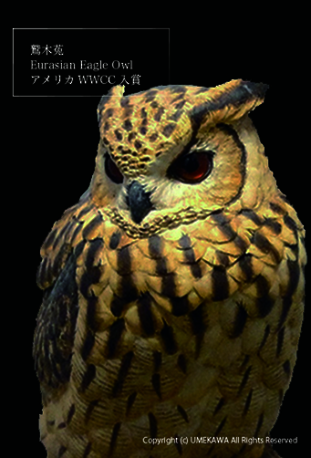 バードカービング作品 - 梅川堂本舗・バードカービング作品や鳥