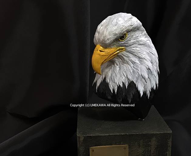 ハクトウワシ 9,000円　 ◆アメリカでは国鳥とされ、国章になっています。鋭い目つきと嘴が文句無しにかっこいい鳥です。