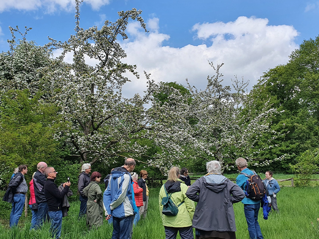 Obstblüten Exkursion am Hexhof / Foto: BSF NABU