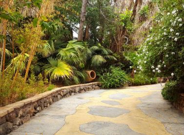 Jungle Park