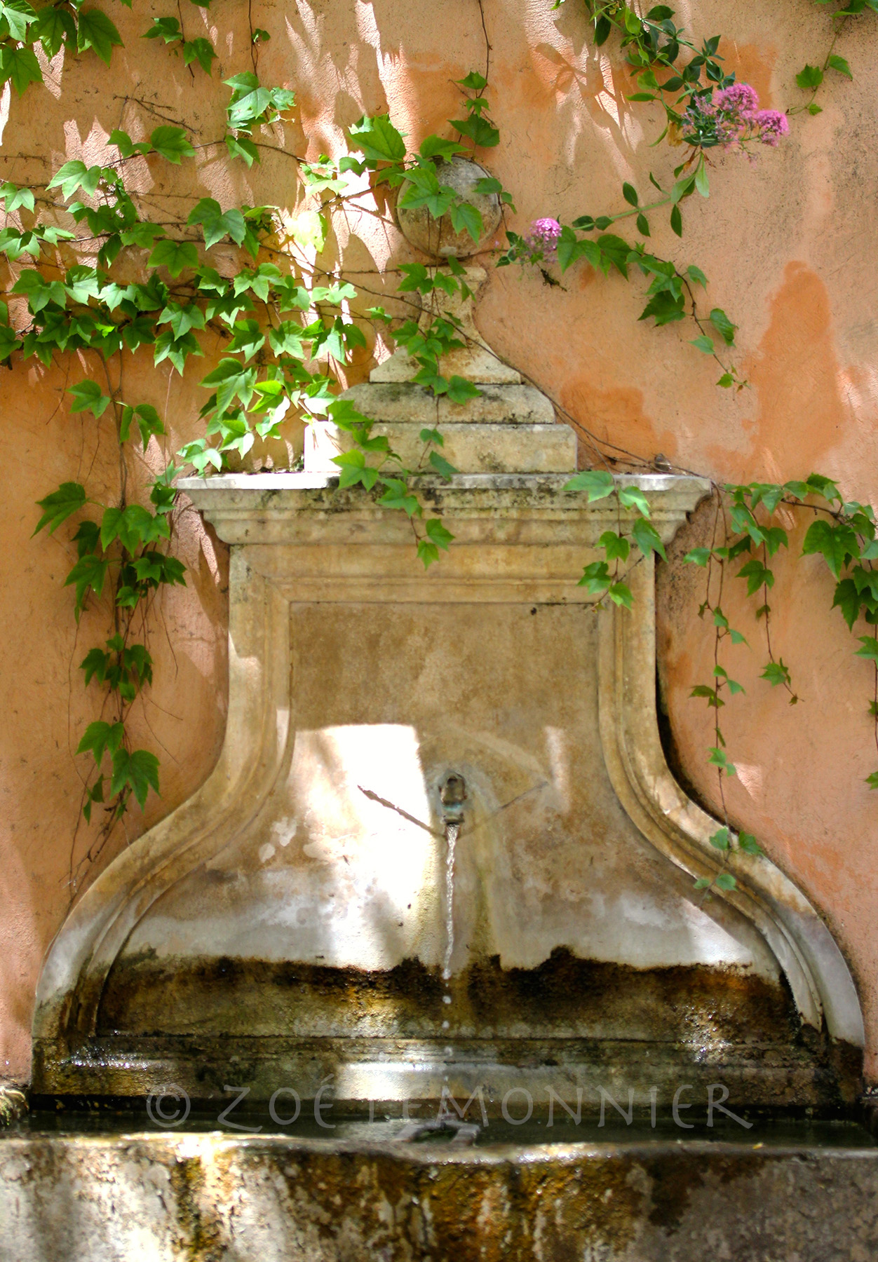 Fontaine de la Rue des Maréchaux à Cotignac