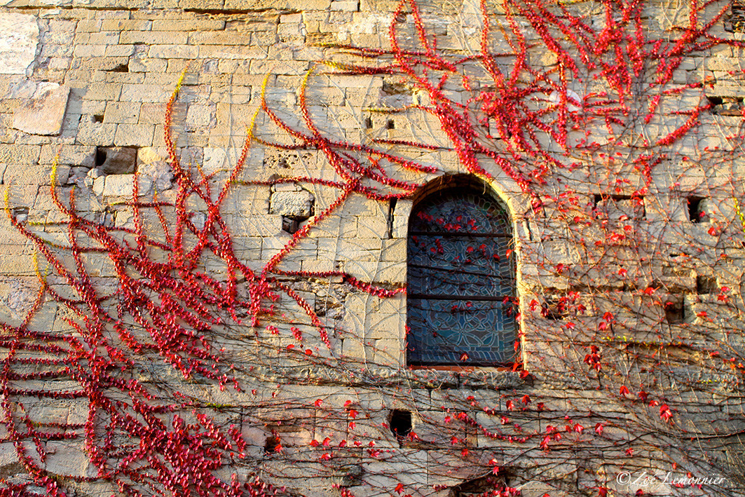 mur d'une abbaye cistercienne