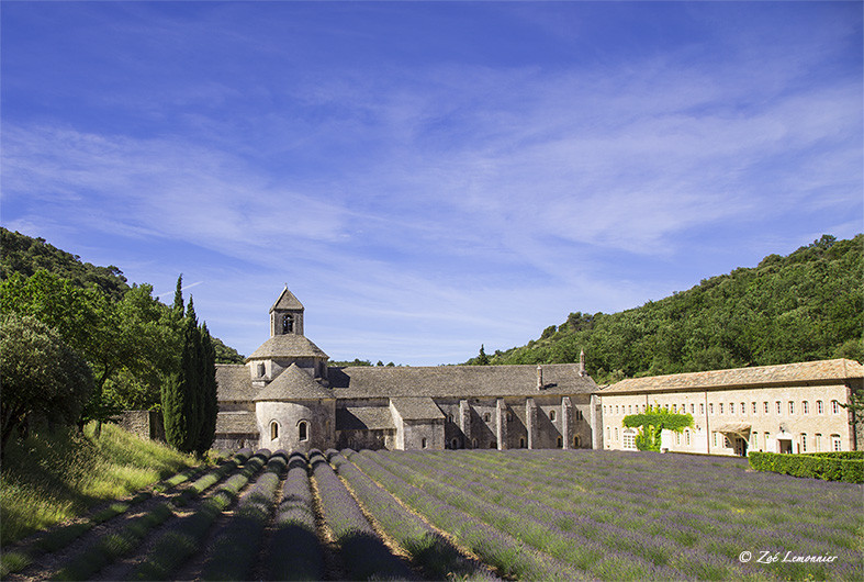 Abbaye de Senanque