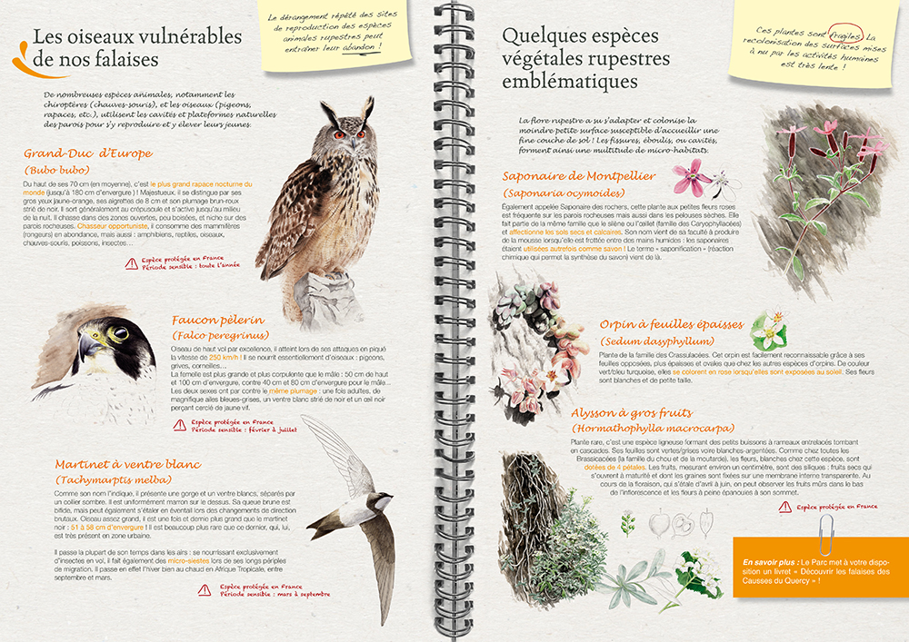 Brochure 12 pages - Lettre Natura 2000 - PNR du Quercy