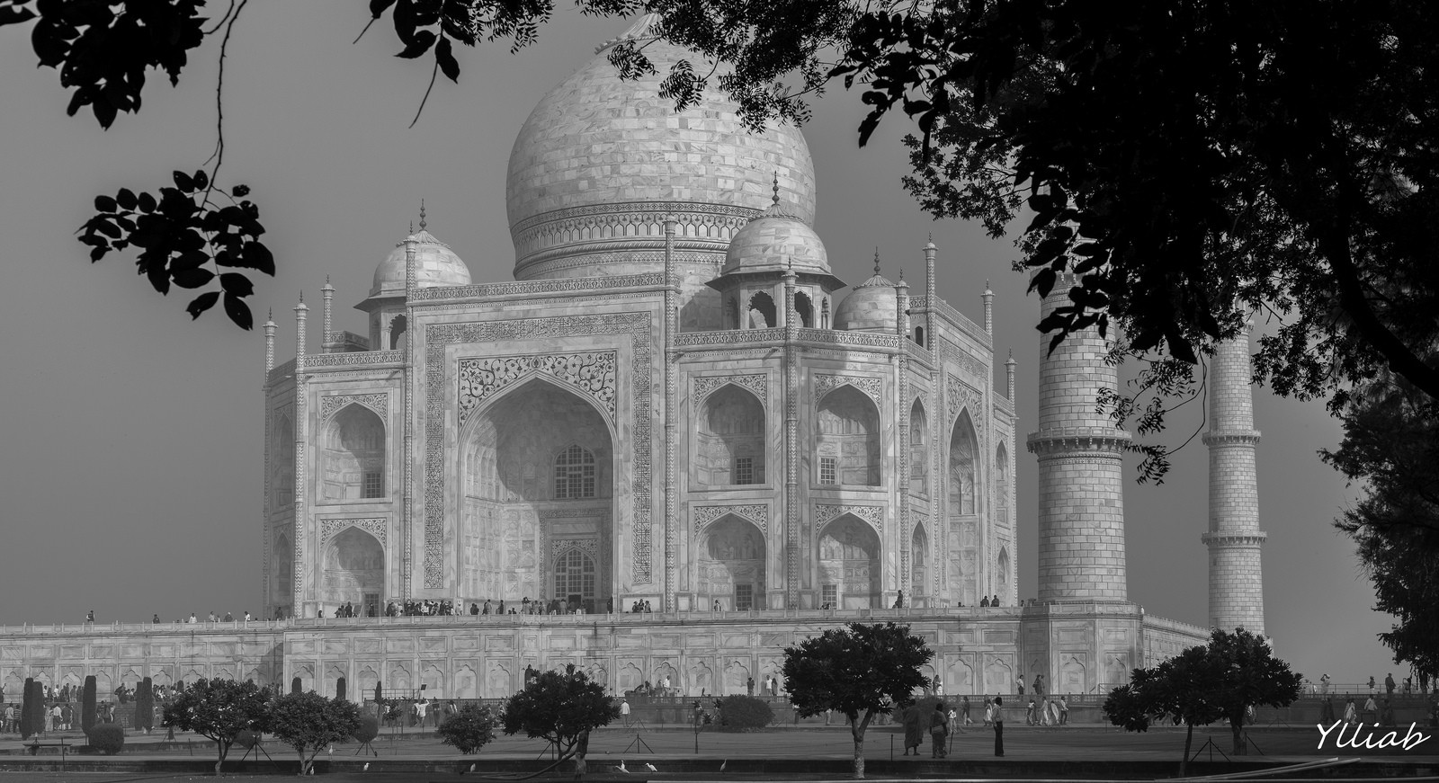 Taj Mahal*