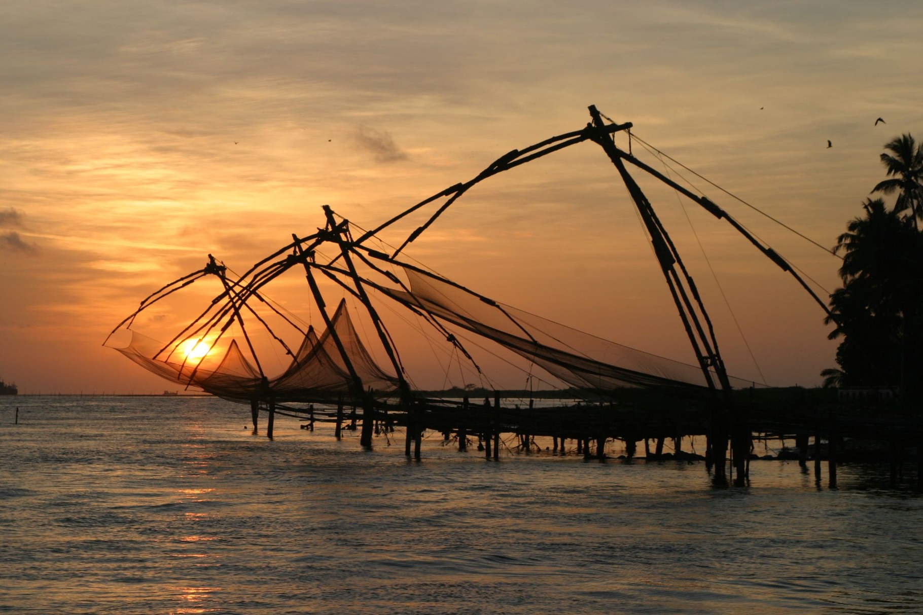 Fishing nets in South India*