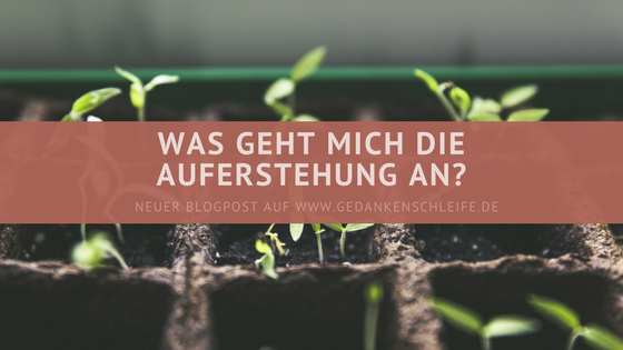 Ein Same stirbt, fällt in die Erde - und bringt Neues hervor. 1Kor 15,35-44