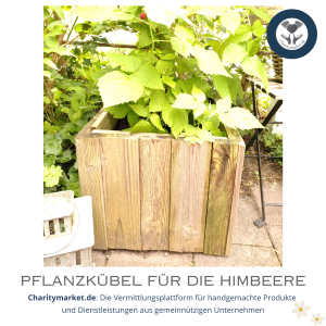 Der Pflanzkübel mit der Himbeere von der gemeinnützigen Produktionsschule Harburg auf Charitymarket.de