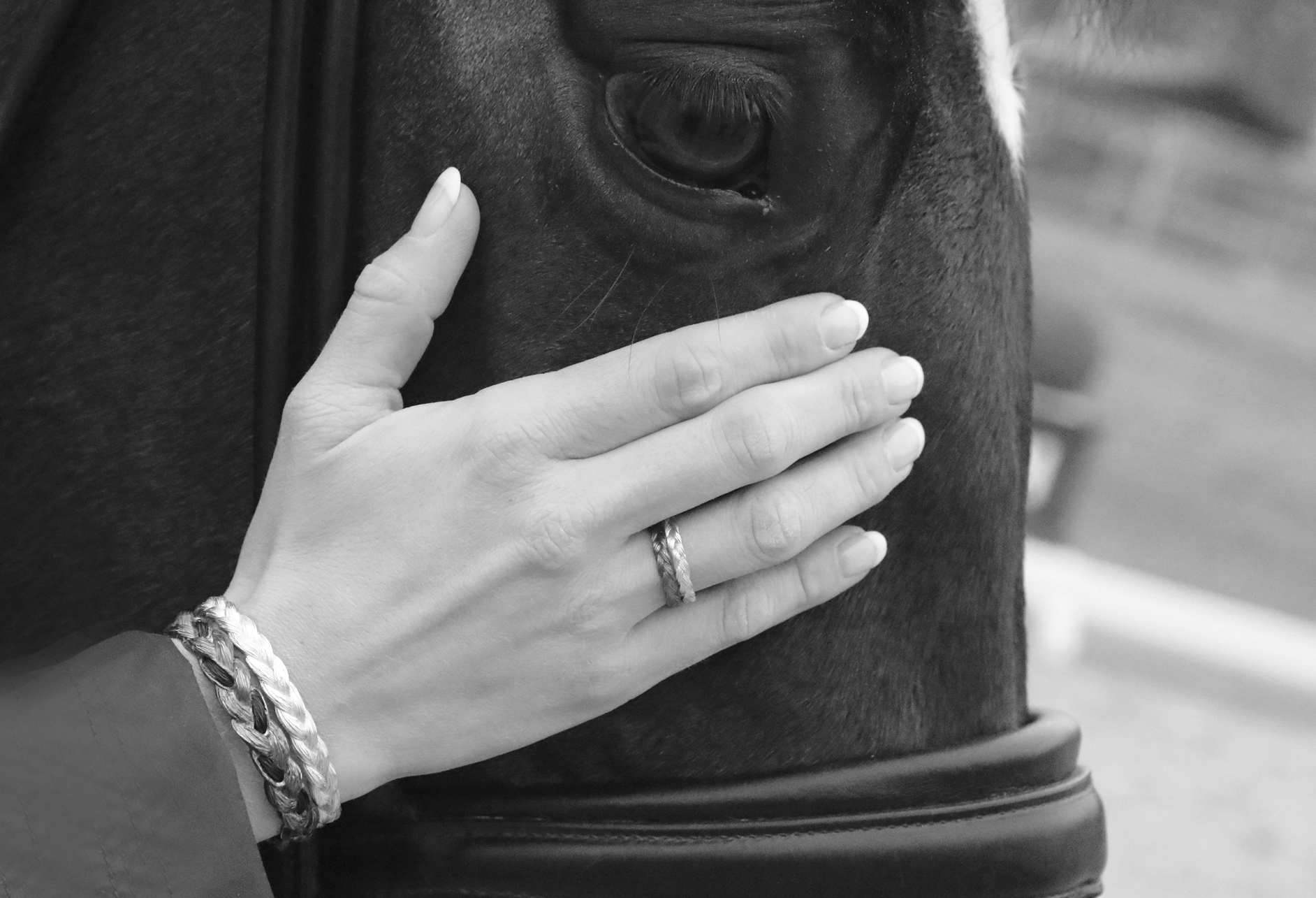 Ringe und Armreif mit Pferdehaarstruktur aus Gold und Silber