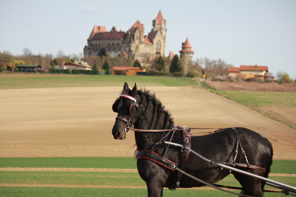 Princess vor herrlicher Kulisse - Burg Kreuzenstein