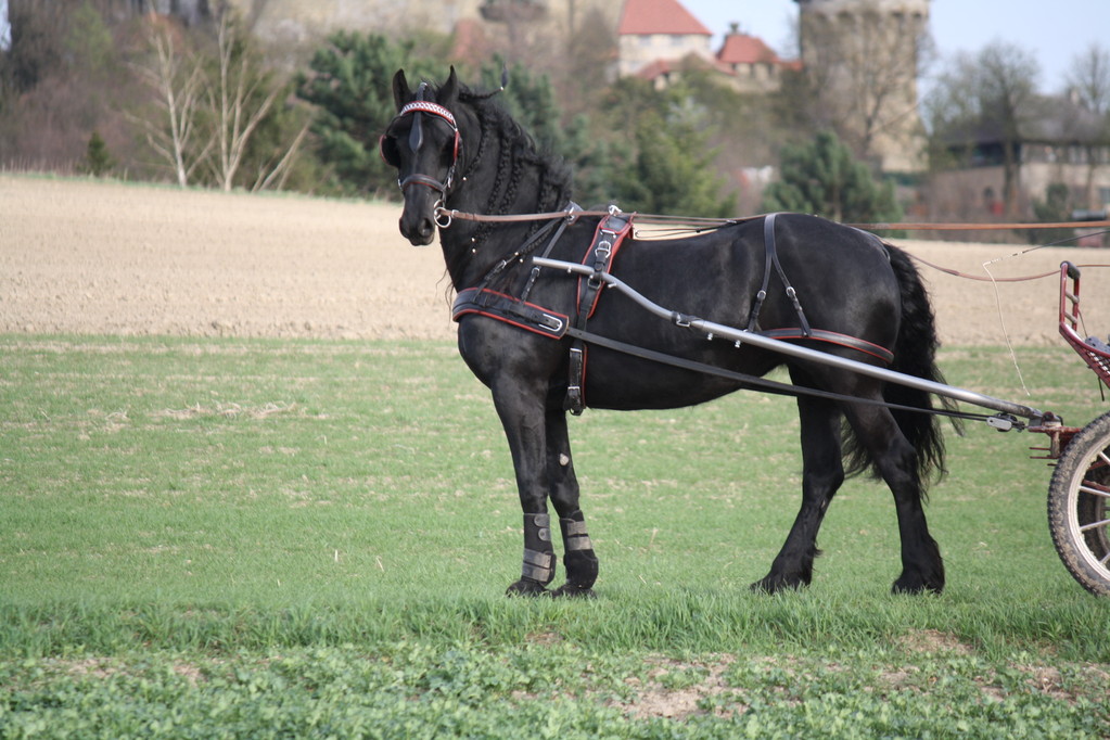 Kleine Prinzessin ganz gross