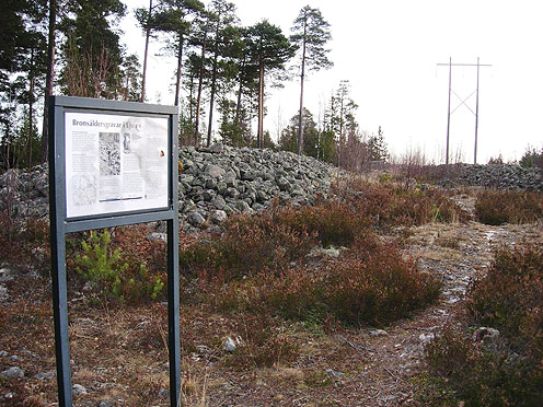 Långrösen 001