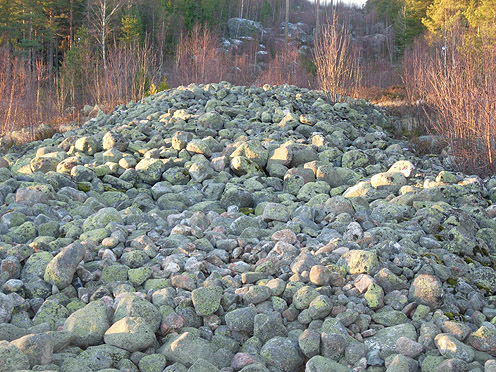 Långrösen 002