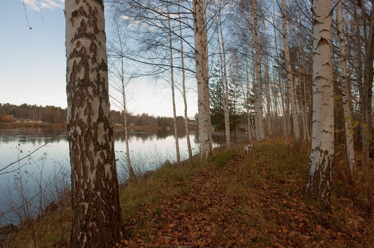 (c) Michael Nilsson - fotograf