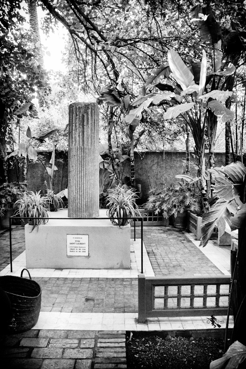 Marrakesch - Jardin Majorelle