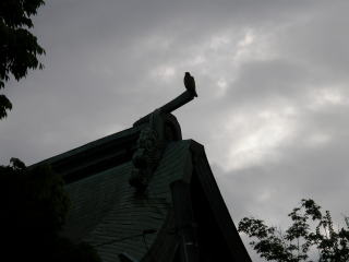 米子八幡神社本殿夕刻