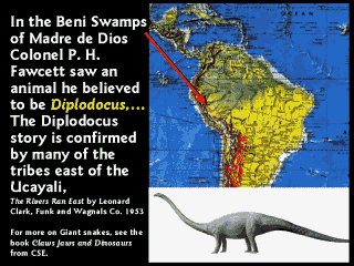 Diplodocus in Beni-Sümpfe in Madre de Dios in Peru 1907 gesichtet