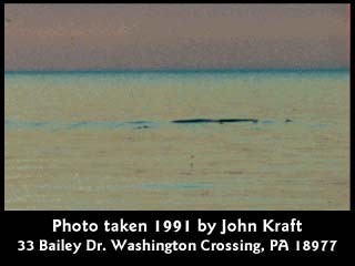 Erie Monster in Erie See in USA 1991
